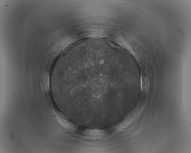 X0000111530205200908041311