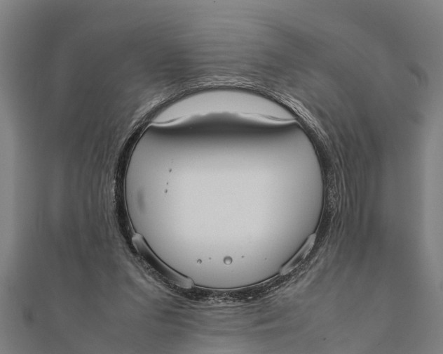 X0000111530207200908041311