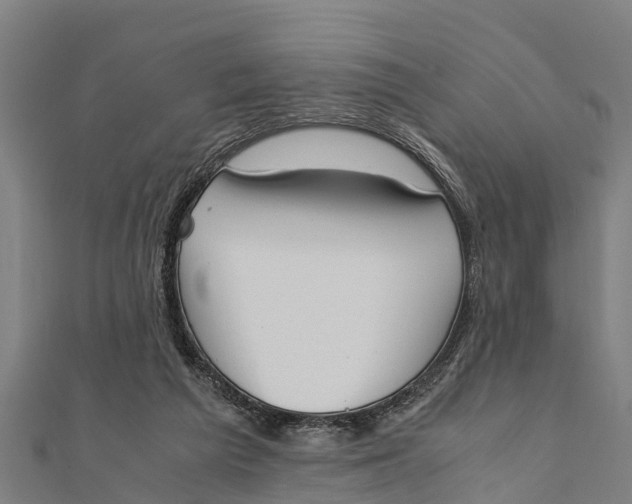 X0000111530209200908041311