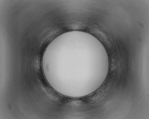 X0000111530210200908041311