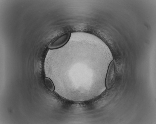 X0000111530211200908041311