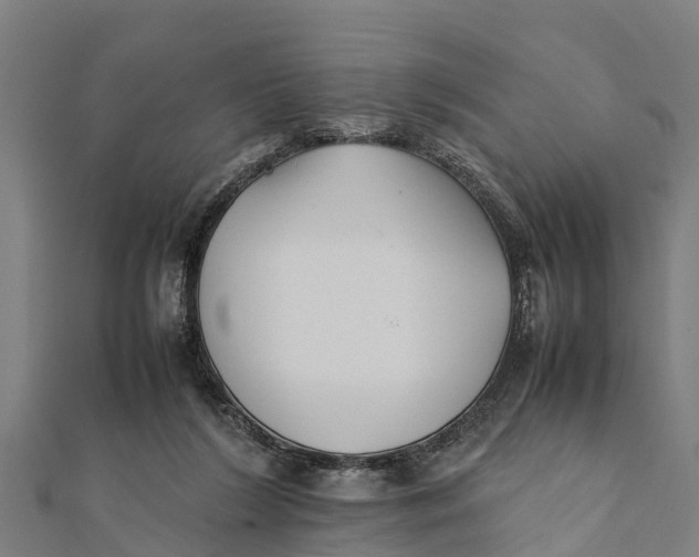 X0000111530212200908041311