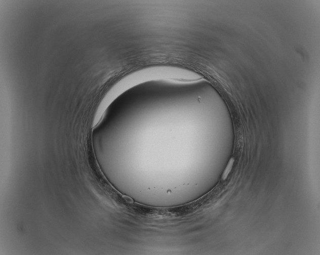 X0000111530215200908041311