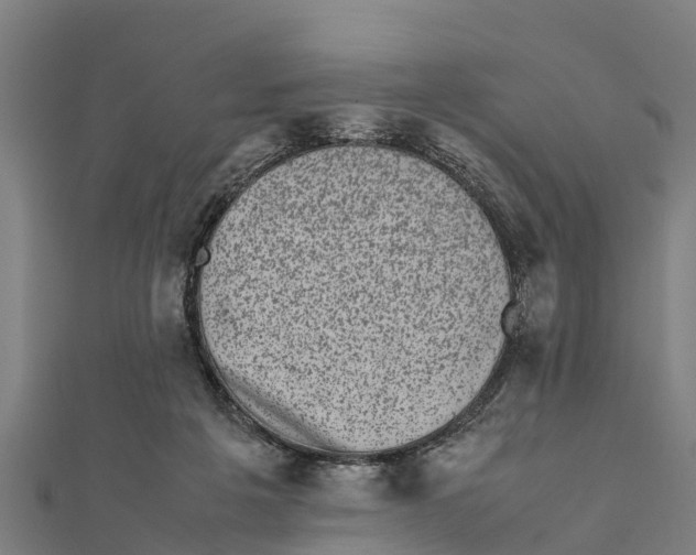 X0000111530217200908041311