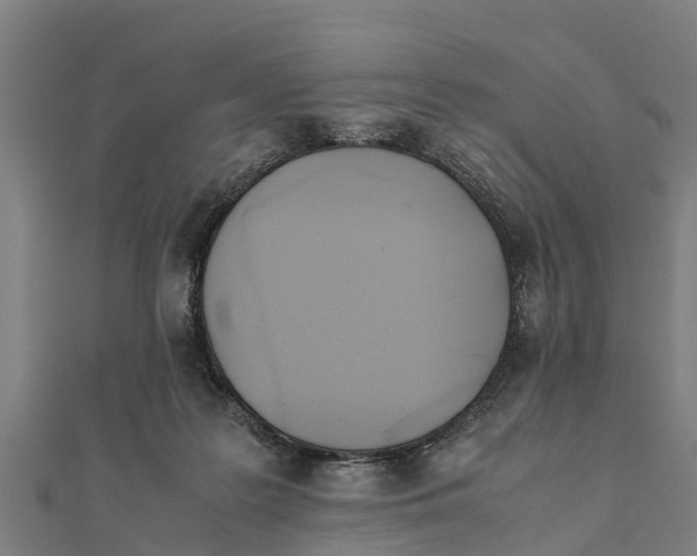 X0000111530219200908041311