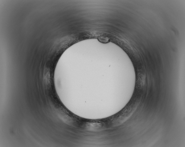 X0000111530220200908041311