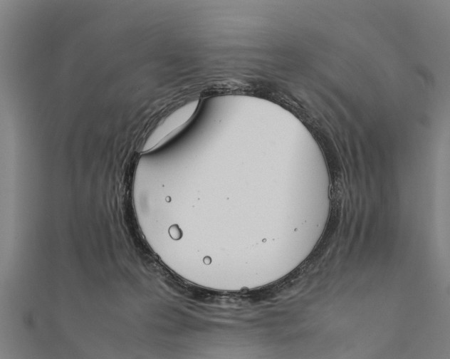 X0000111530223200908041311