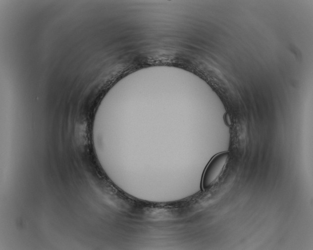 X0000111530224200908041311