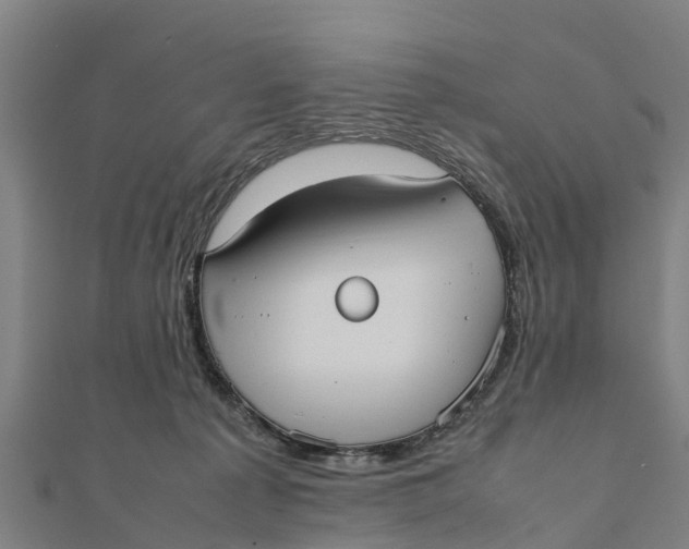 X0000111530225200908041311