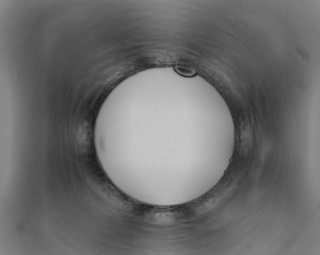 X0000111530228200908041311