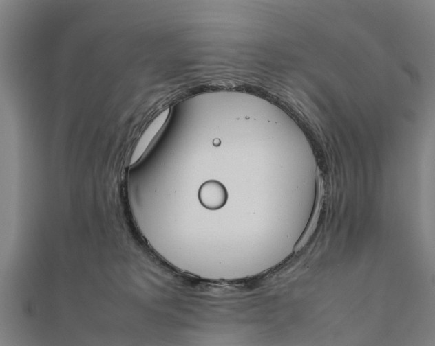 X0000111530229200908041311