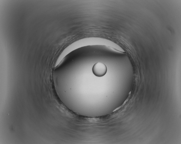 X0000111530233200908041311