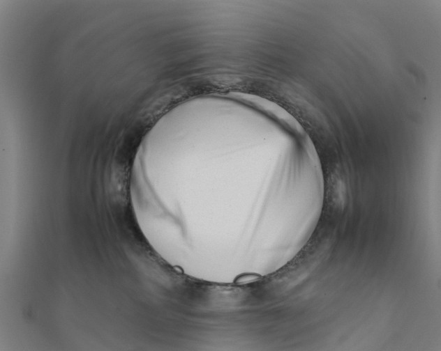 X0000111530234200908041311