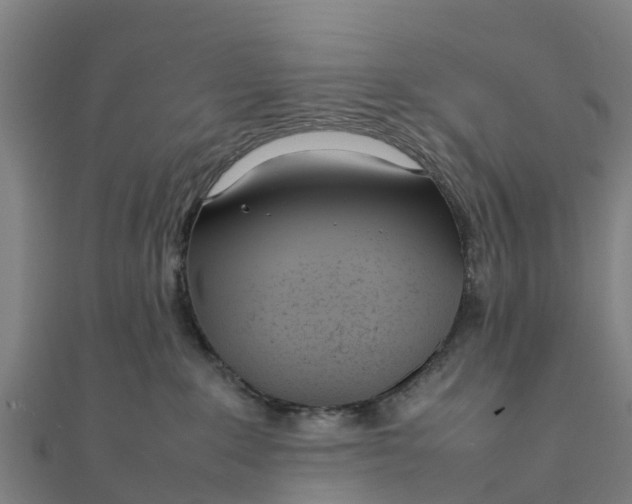 X0000111530235200908041311