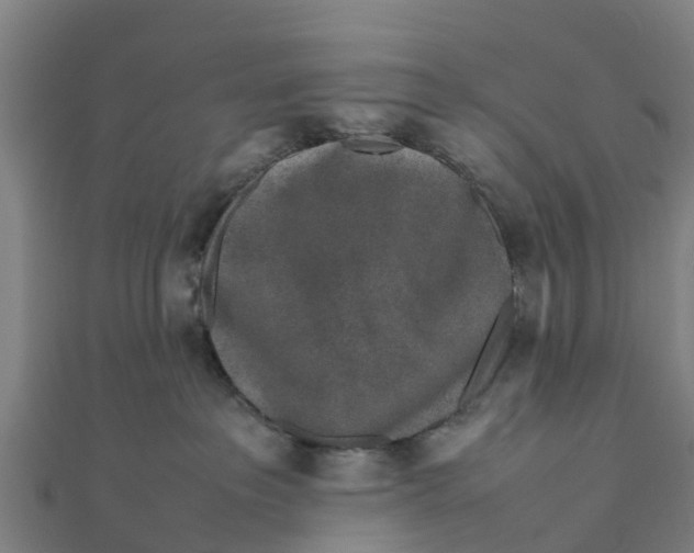 X0000111530237200908041311