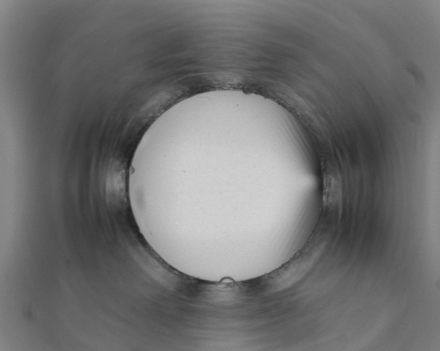 X0000111530238200908041311