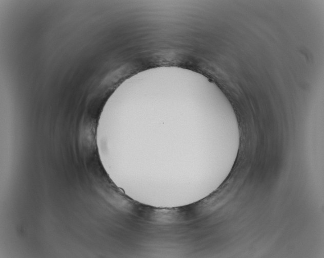 X0000111530240200908041311