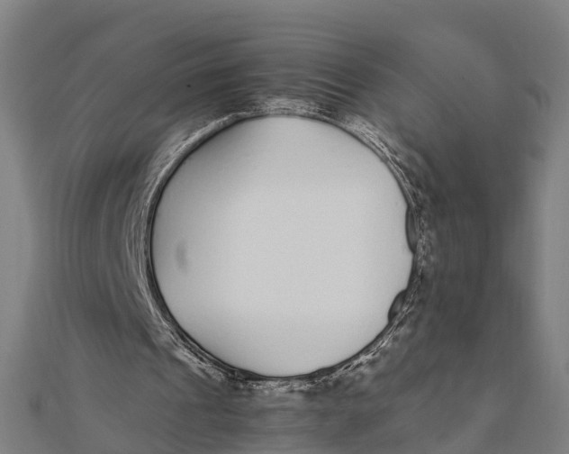 X0000111530241200908041310