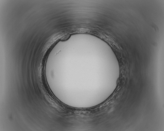 X0000111530242200908041310