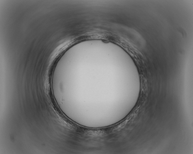 X0000111530245200908041310