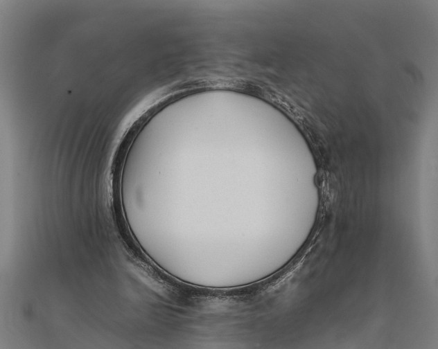 X0000111530246200908041310