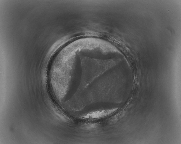 X0000111530247200908041310