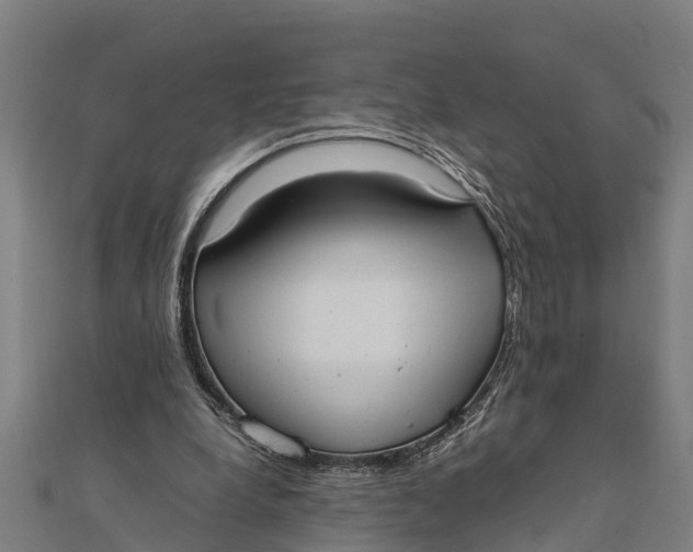 X0000111530248200908041310