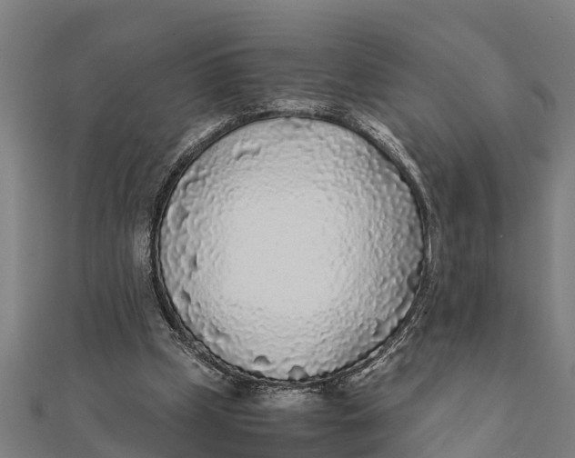 X0000111530249200908041310