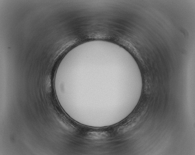 X0000111530251200908041310