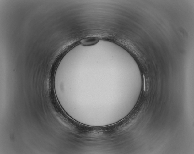 X0000111530252200908041310