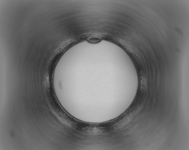 X0000111530254200908041310