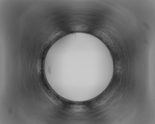 X0000111530255200908041310