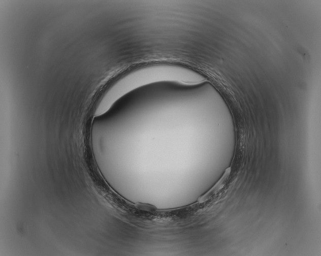 X0000111530256200908041310