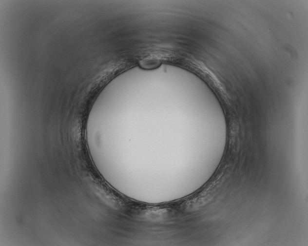 X0000111530257200908041310