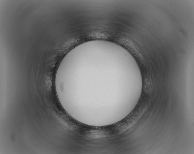 X0000111530259200908041310