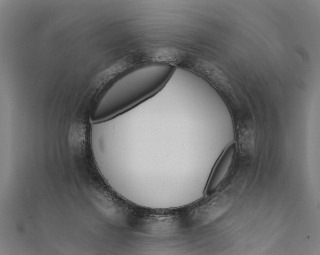 X0000111530260200908041310