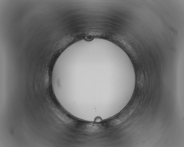 X0000111530261200908041310