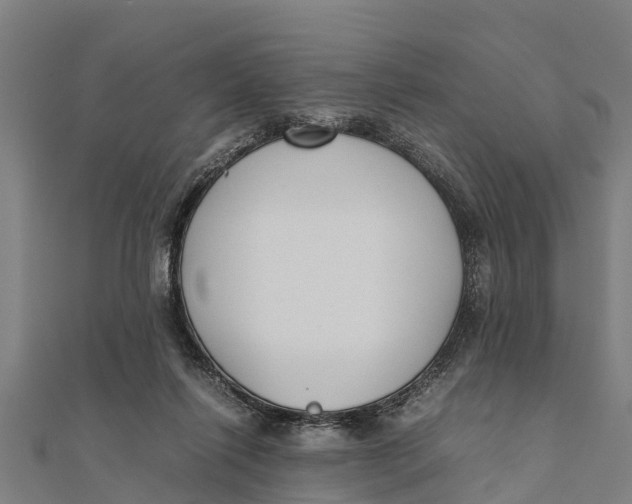 X0000111530262200908041310