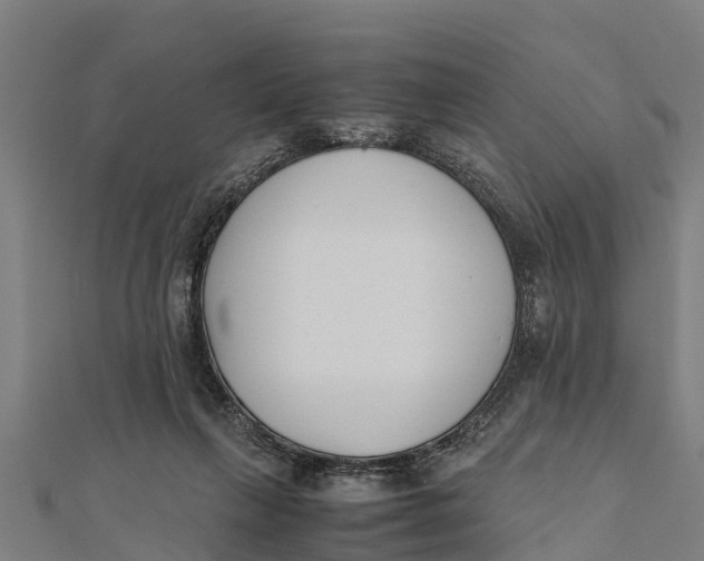 X0000111530263200908041310