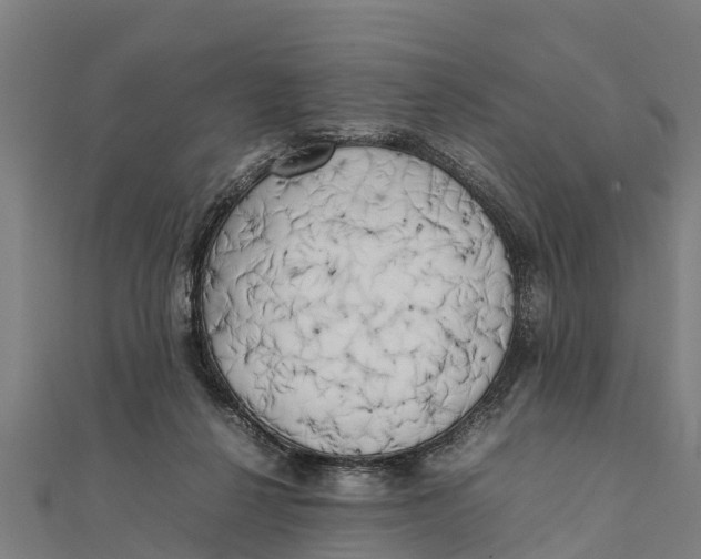 X0000111530264200908041310