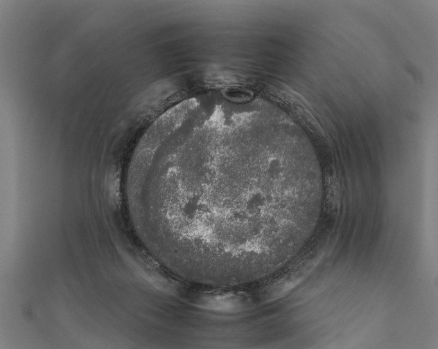 X0000111530267200908041310