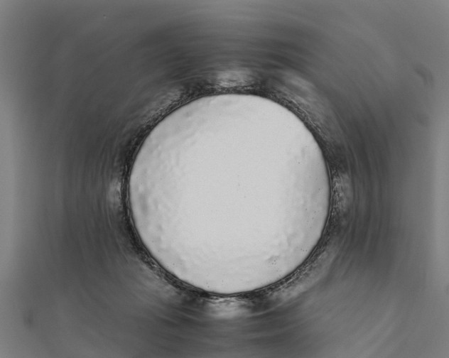 X0000111530269200908041310