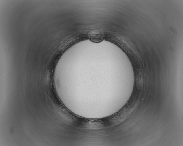 X0000111530270200908041310