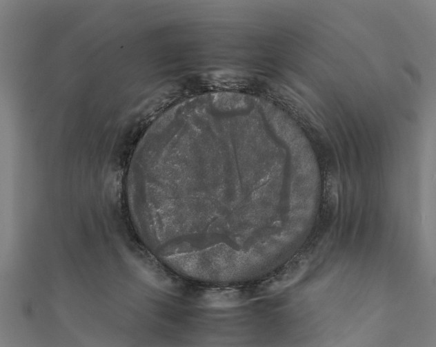 X0000111530271200908041311