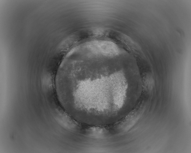 X0000111530272200908041311