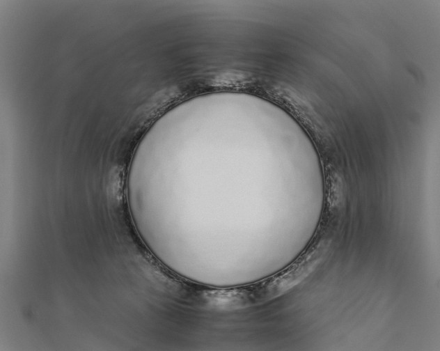 X0000111530273200908041311