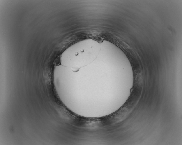 X0000111530274200908041311