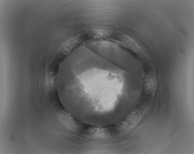 X0000111530276200908041311