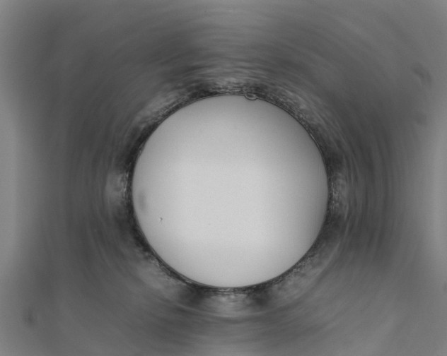 X0000111530278200908041311