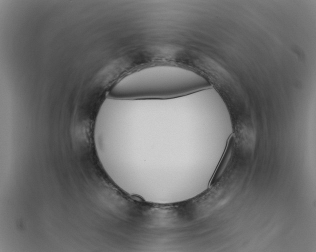 X0000111530280200908041311